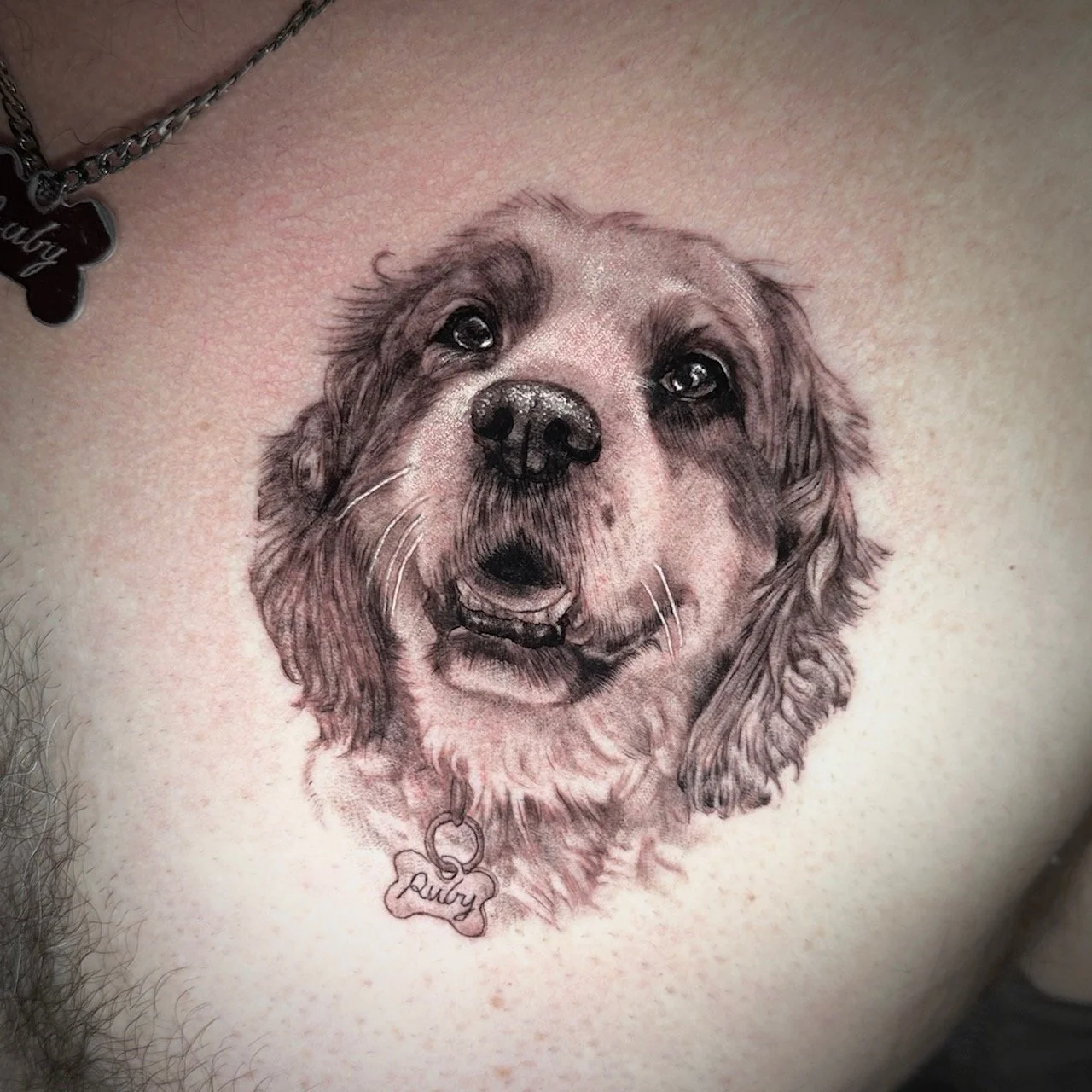 molly10.jpg