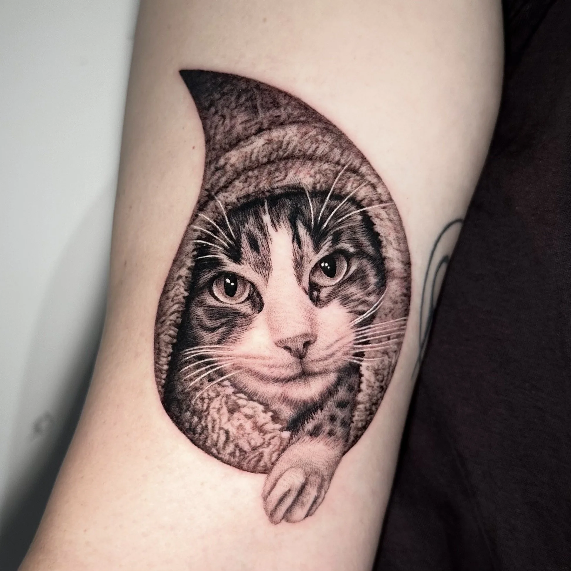 watercat.jpg
