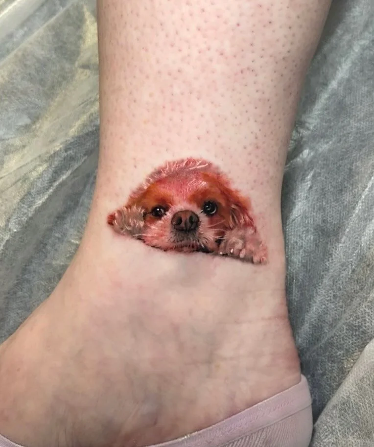 I often get asked about colour animal and pet portraits, Im only black and grey but @yunatattoo works with me a few days a week and does amazing colour work. We are both within the same private studio in separate rooms with tv&rsquo;s and netflix acc