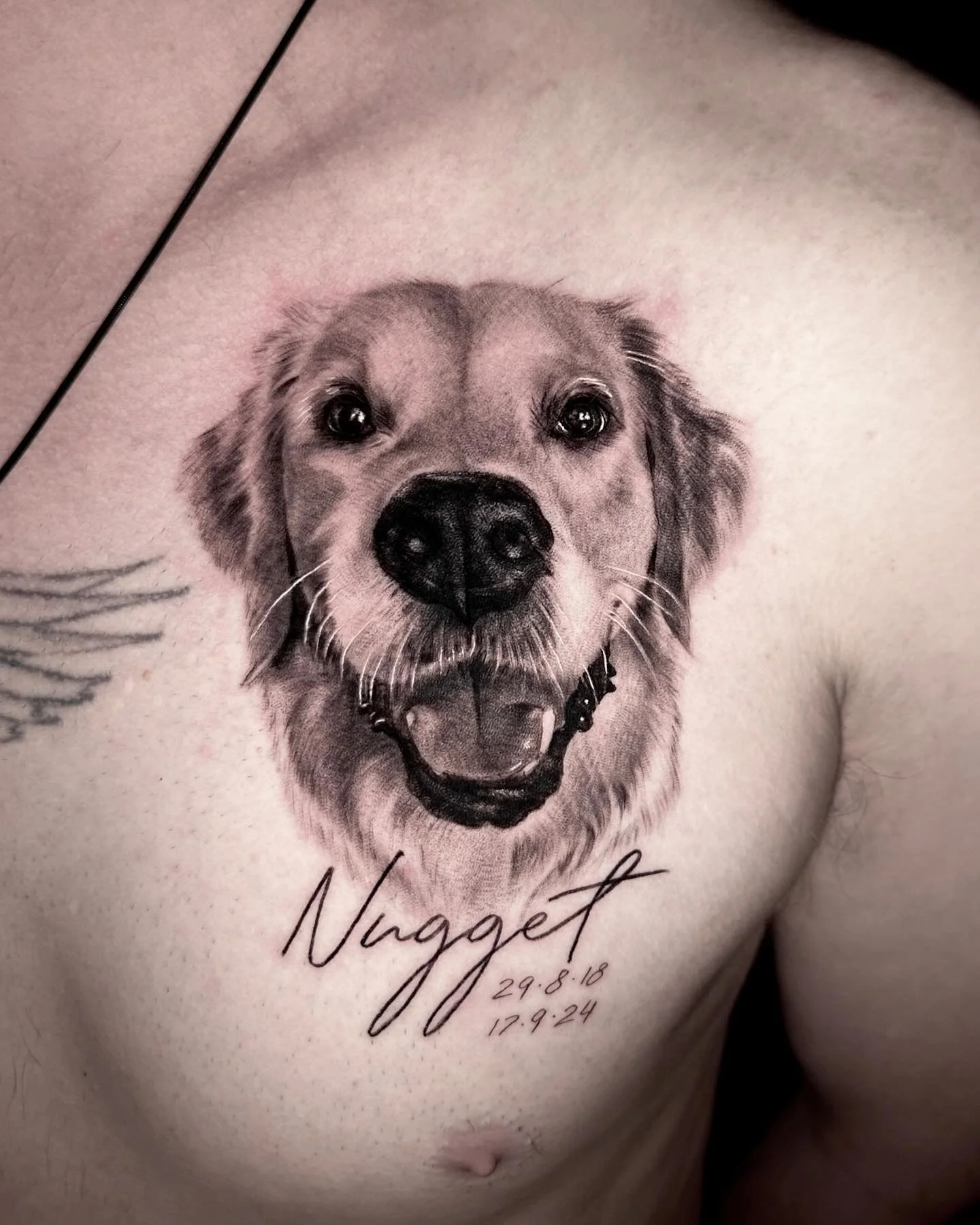 The most beautiful boy with the most beautiful big smile❤️ Rest In Peace Nugget 🐾 🌈 . Thank-you @chris.ripper22 for trusting me to honor and celebrate Nugget&rsquo;s life. He couldn&rsquo;t have had a better pawrent than you🫶🏼