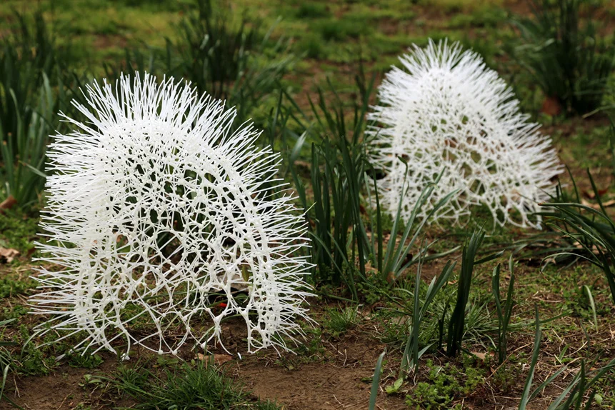 Sui Park_Sprout_zipties.jpg
