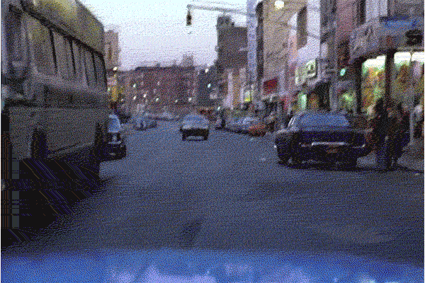 Young_Adult_NEWYORK.gif