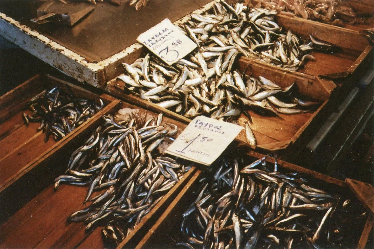 img019.jpg