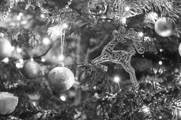 Christmas 4 LRGE B&W.jpg