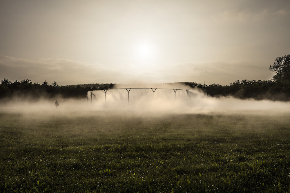 Fog Assembly / Photo Credit: Anders Sune Berg