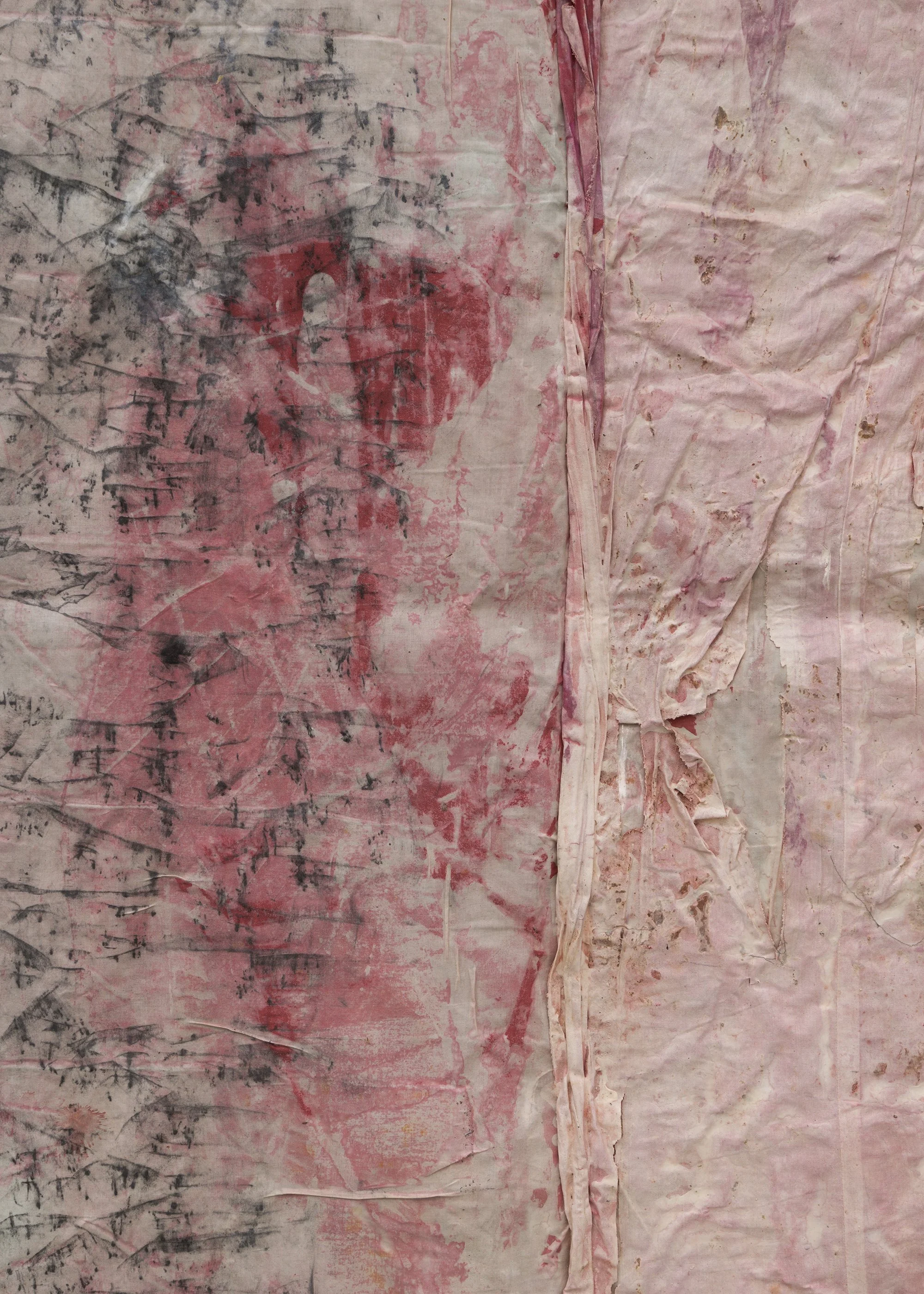 DN_1_Cochineal I_3 detail.jpg
