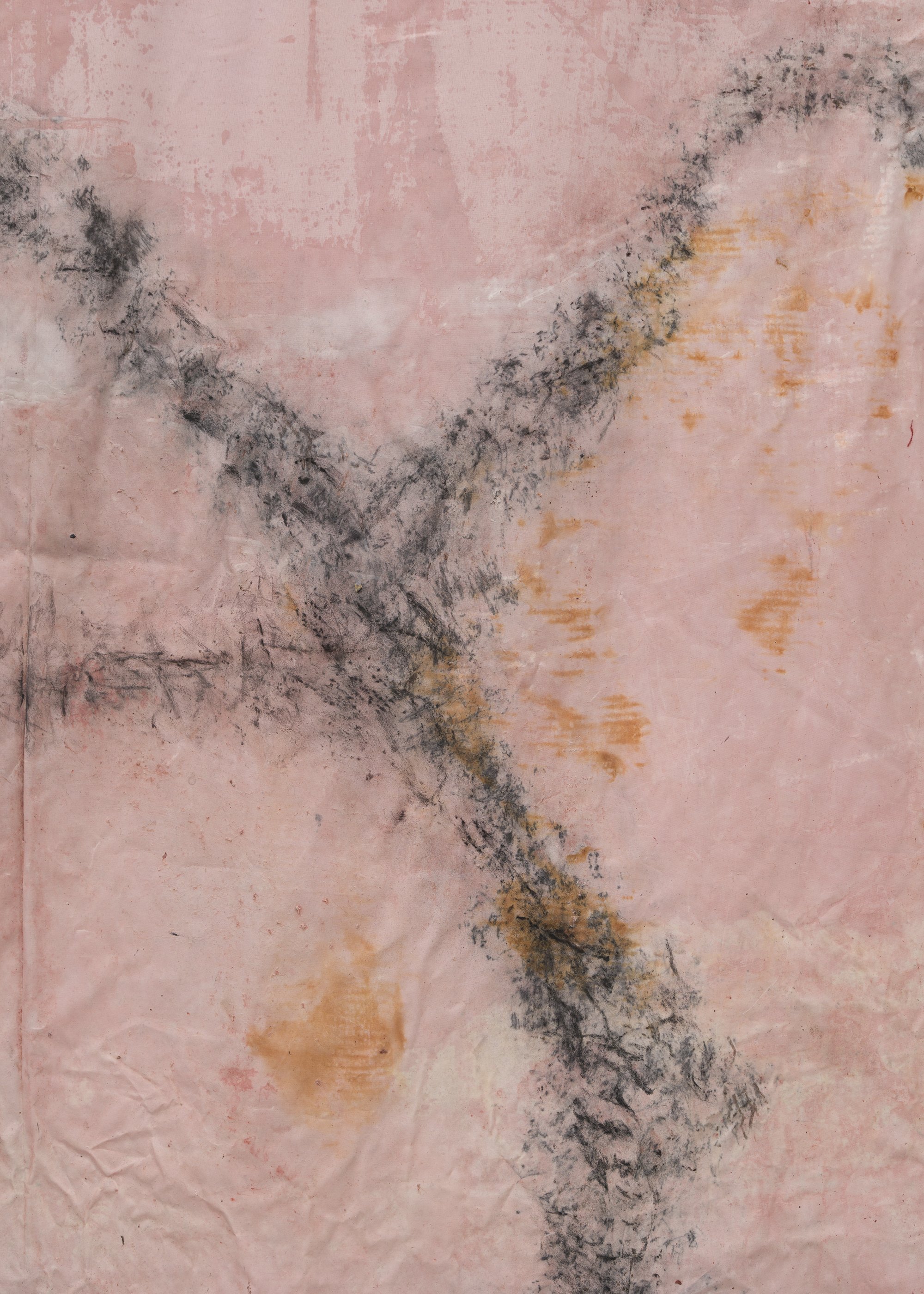DN_2_Cochineal II_3 detail.jpg