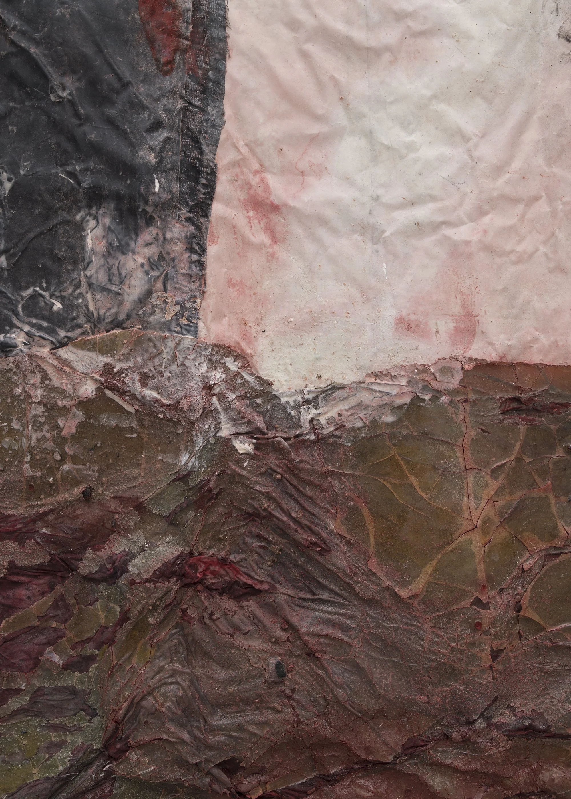 DN_2_Cochineal II_4 detail.jpg