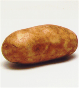 krumli1.png