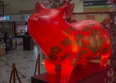 LUNAR NEW YEAR - PIG Seen Technology, Australia Shortlisted Sticker Download