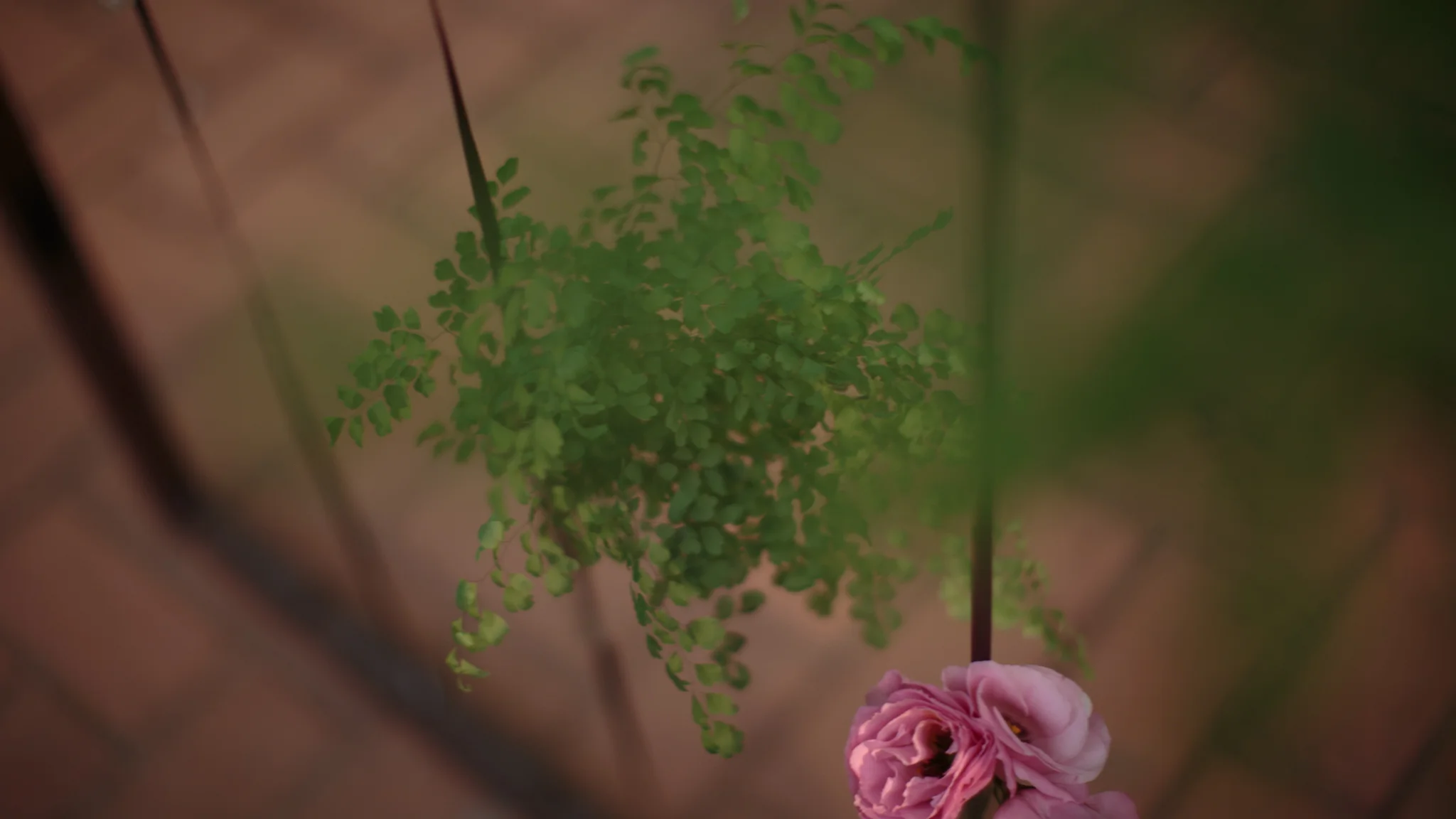 20160430_ilanalichtenstein_nini-e-nunum-40.jpg