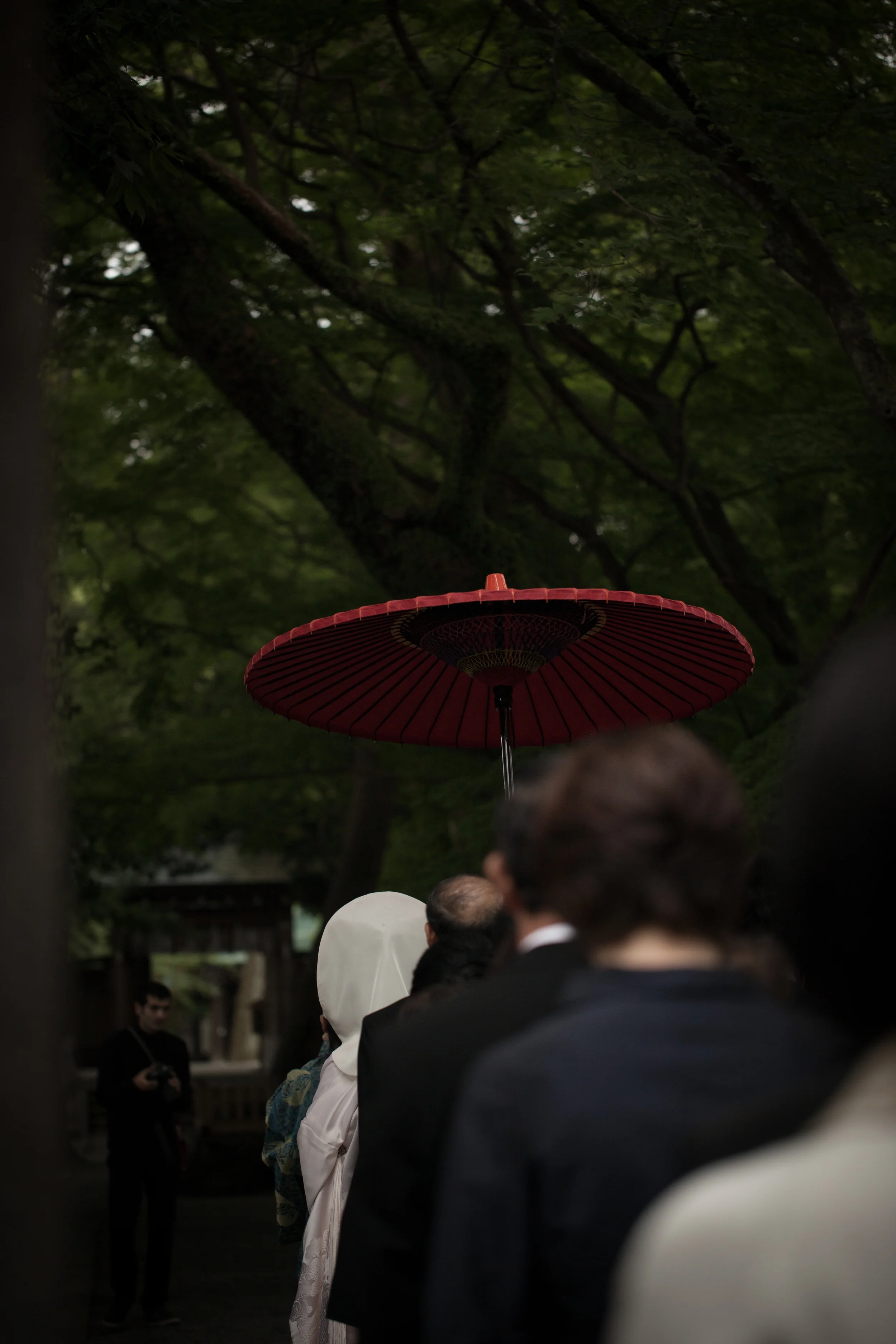 untitled-1335.jpg