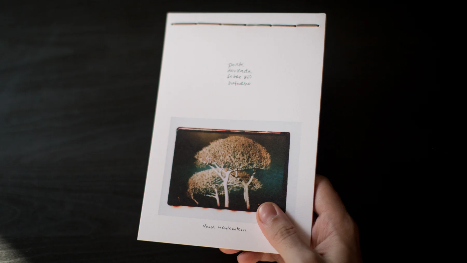 livro_ponte_dourada_sobre_rio_noturno.jpg