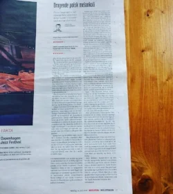 5 stars in POLITIKEN