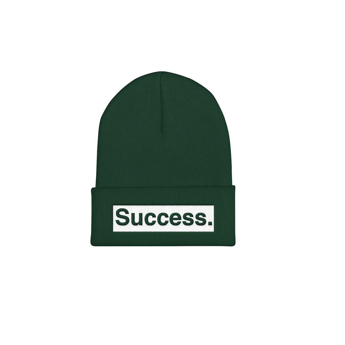 spruce success beanie.jpg
