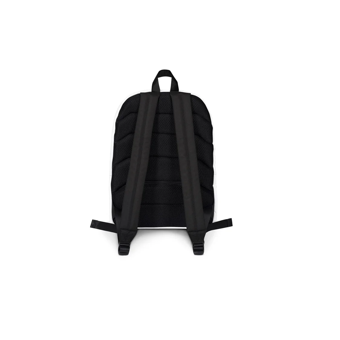 success backpack back full.jpg