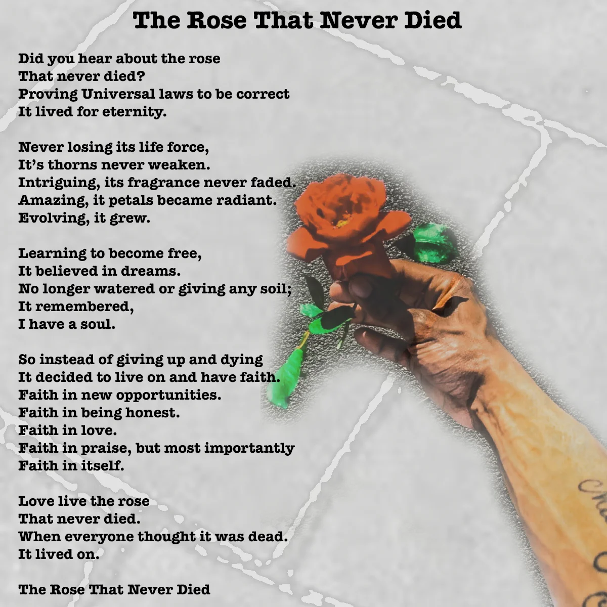 The Rose That Never Died Poetic Quote.jpg