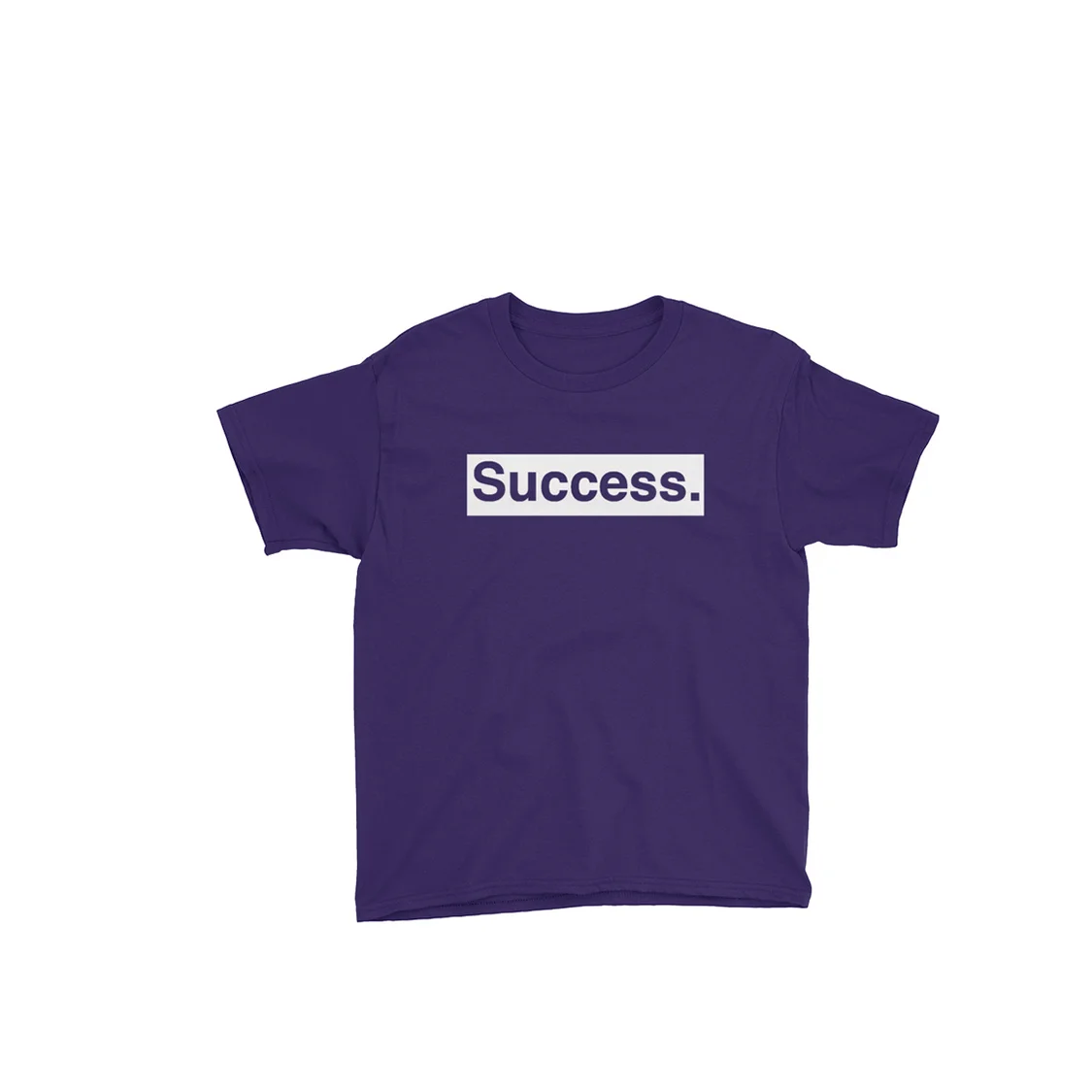 Youth Success Purple.jpg