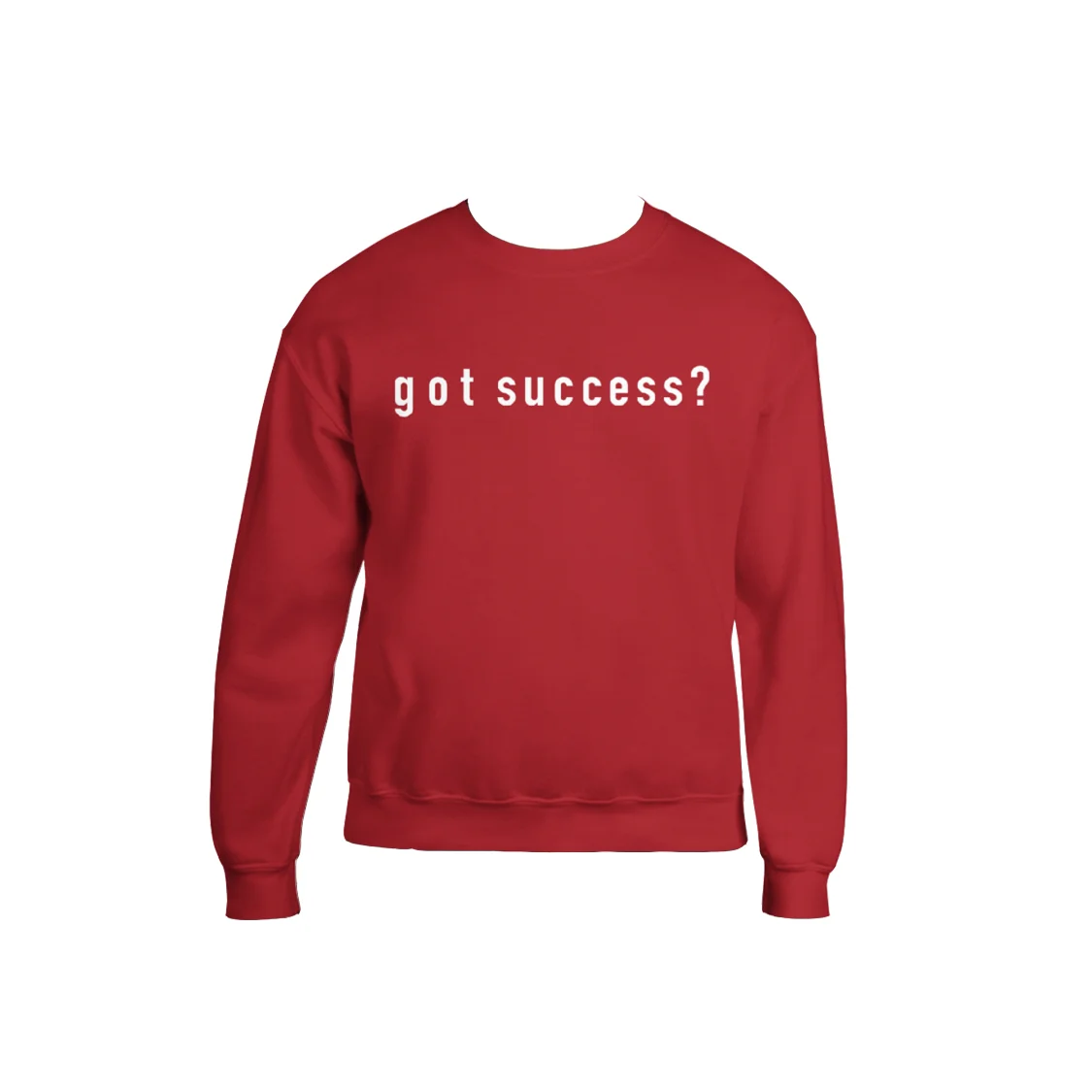  Men's Got Success Premium Sweater