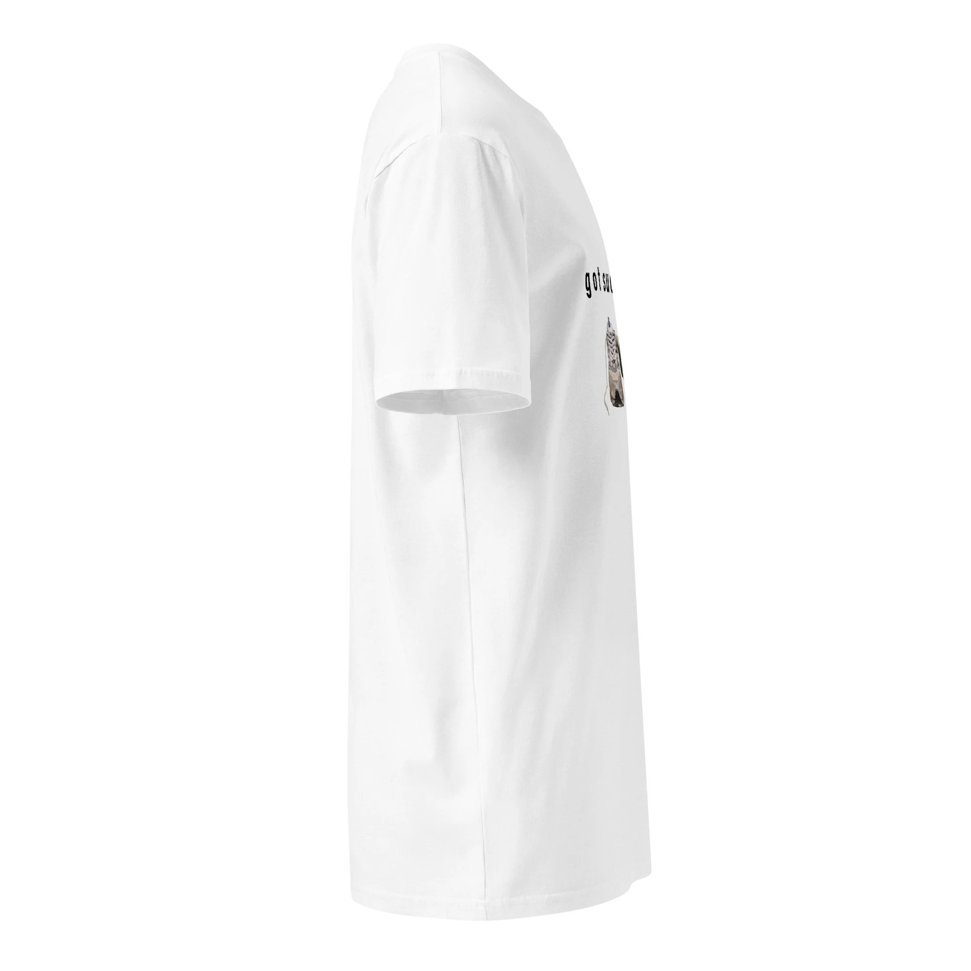 unisex-premium-t-shirt-white-right-6a95cbd3a14bd.jpg