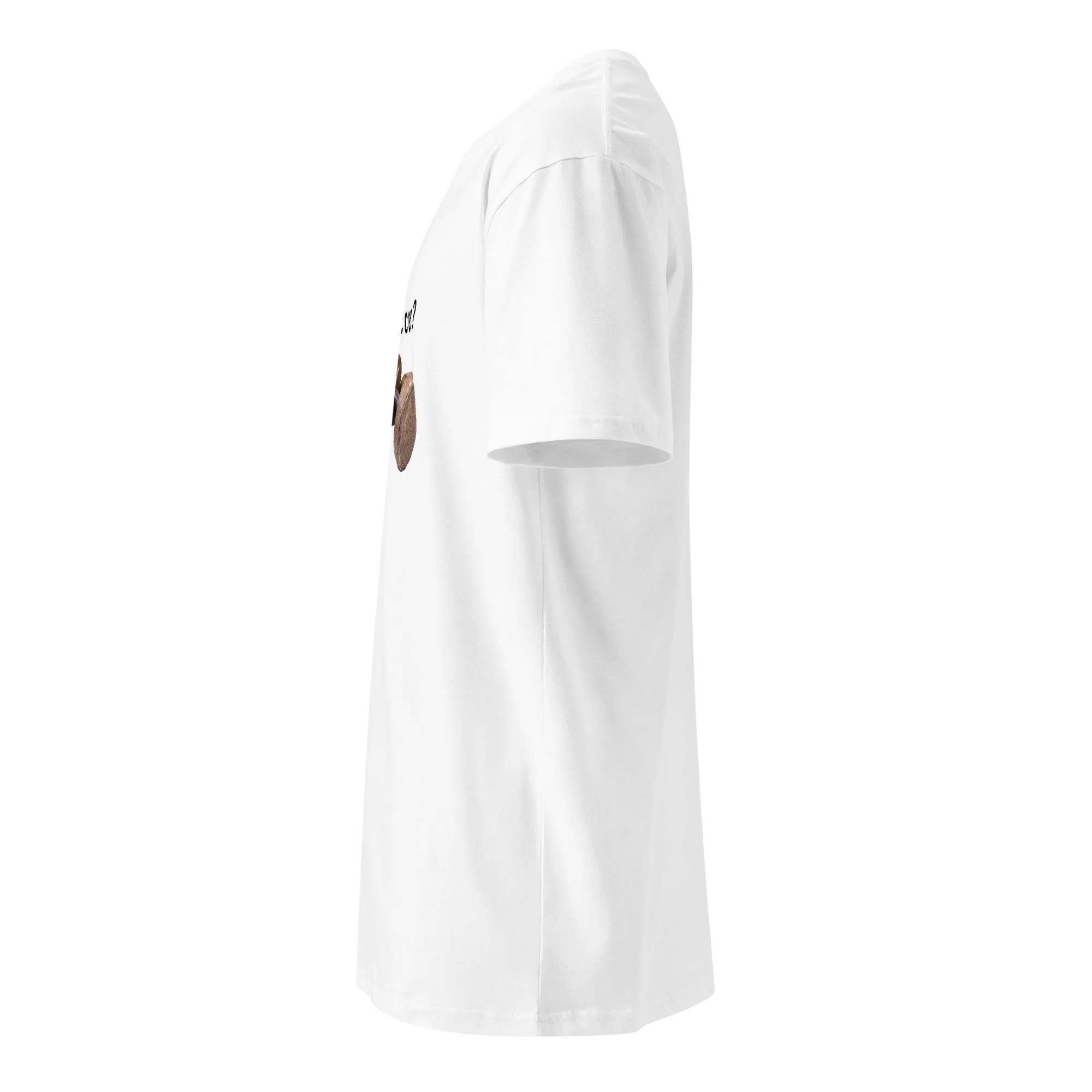 unisex-premium-t-shirt-white-left-6a95cc694aa17.jpg
