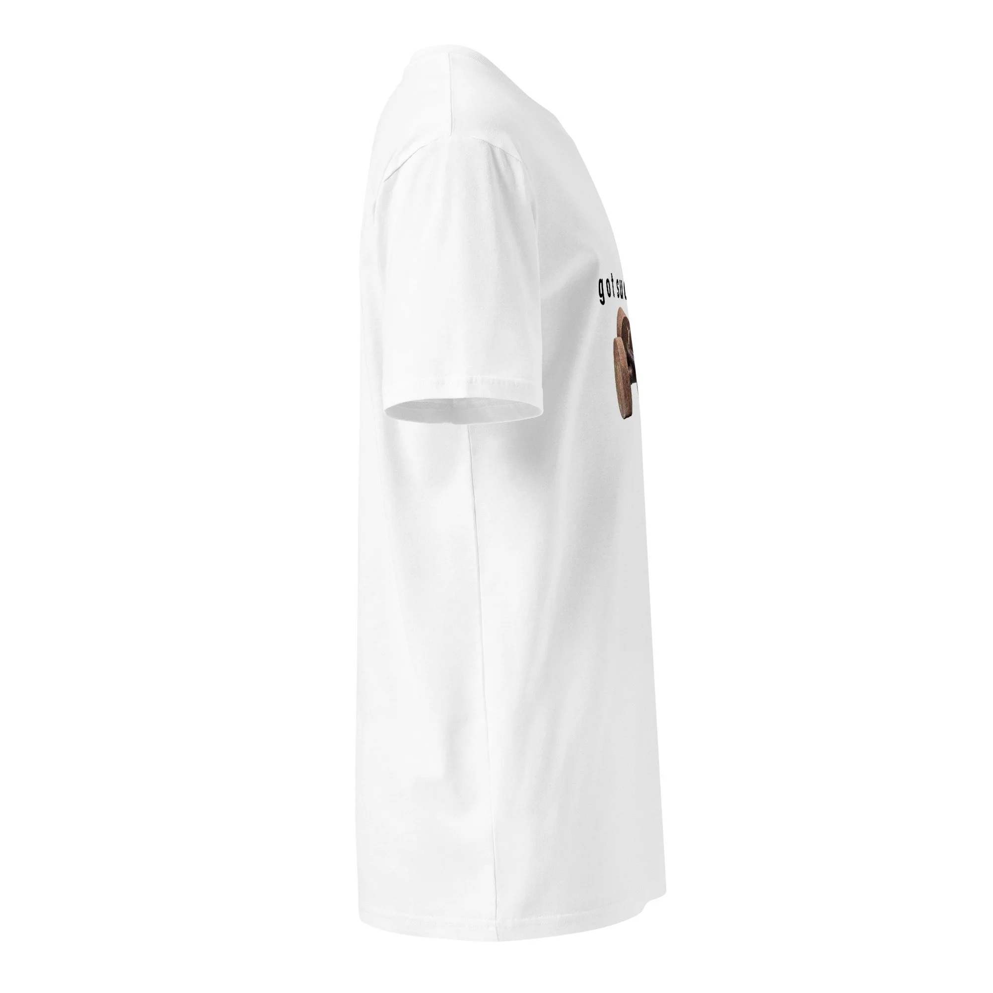 unisex-premium-t-shirt-white-right-6a95cc694aad5.jpg