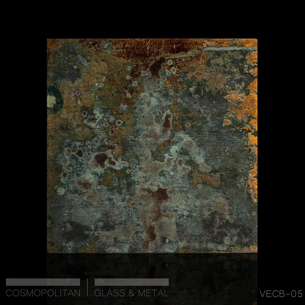 VECB-01.jpg