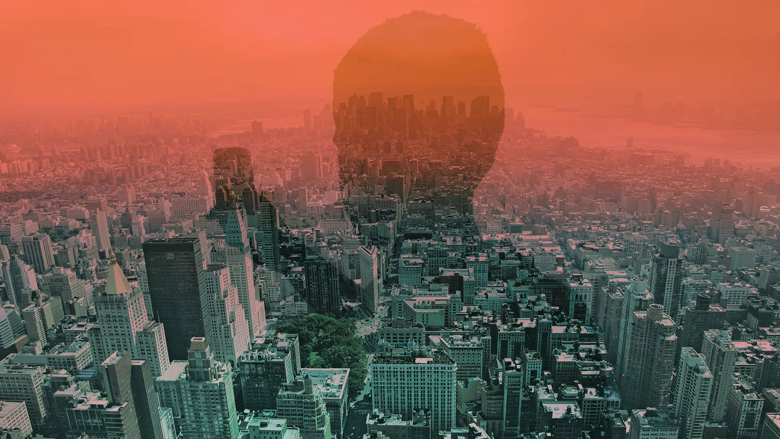 Home.jpg