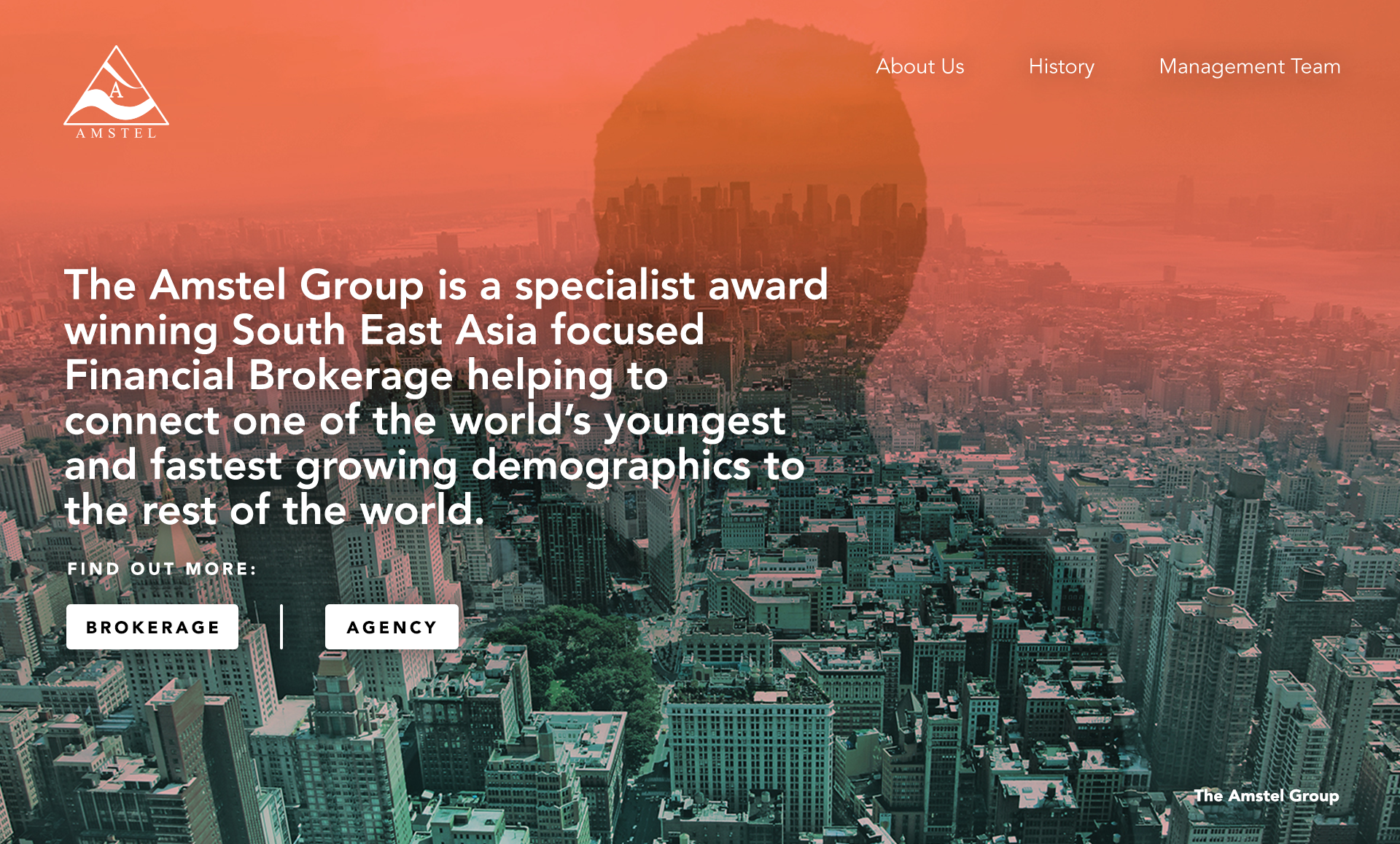 AmstelGroupWebsite_00.png