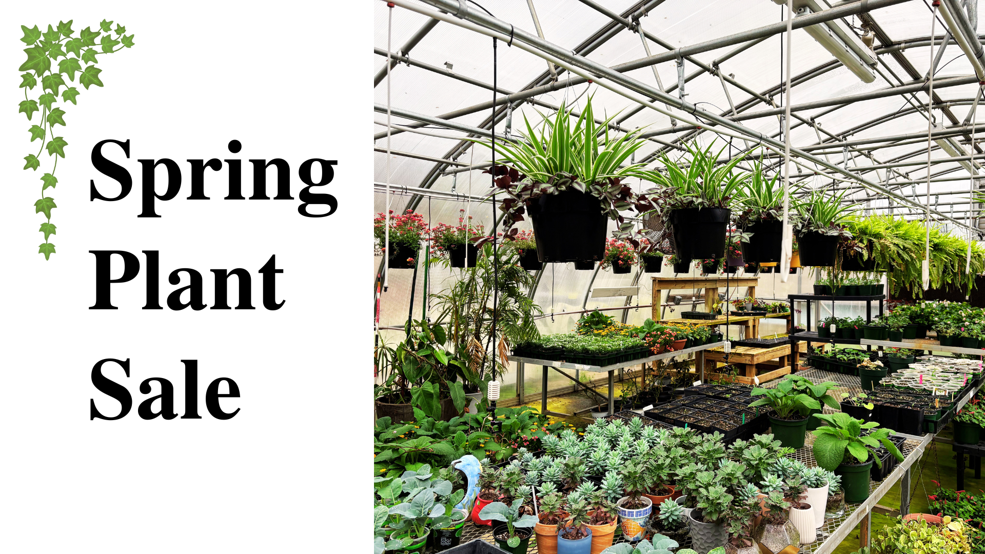Holy Angels Spring Plant Sale