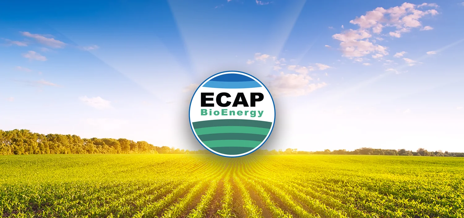 ecap-background-3.jpg