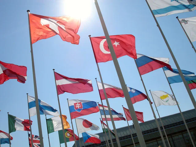 Raja-Habib_Flags.jpg