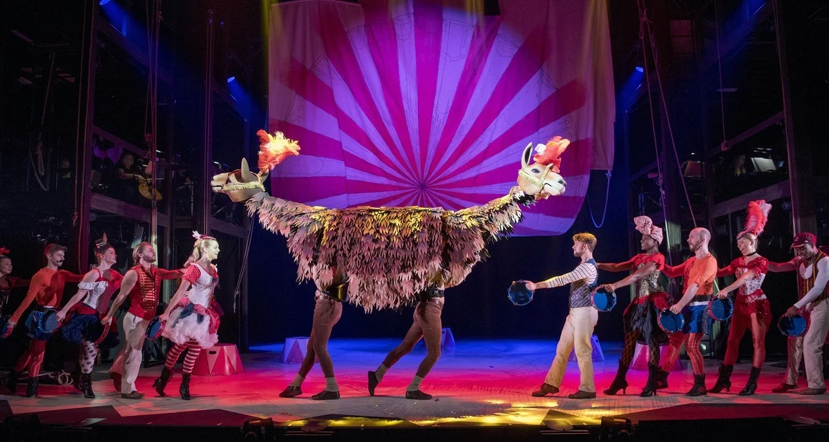 circus 2.jpg