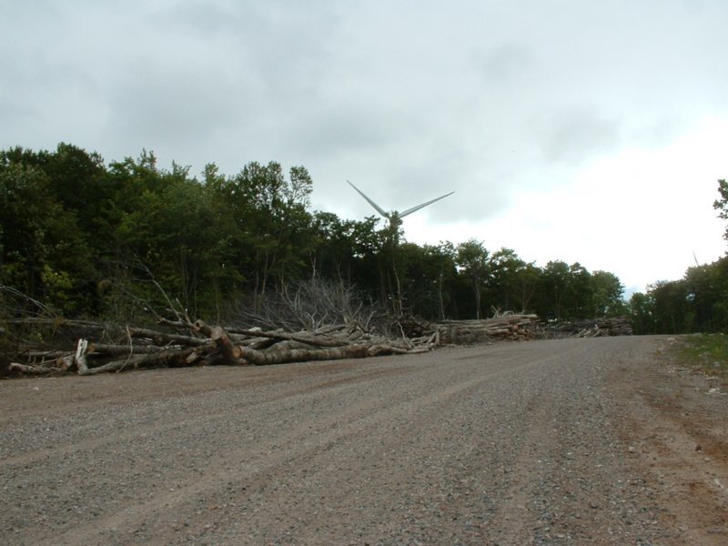 PrinceWindfarm14_18.jpg