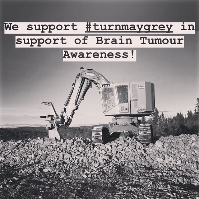 The management and staff at Avery Construction would like to help raise awareness for #turnmaygrey as #algomagoesgrey for Brain Tumour Awareness Month! #averyconstruction #saultstemarie #thesoo #cityssm @kyleighprovenzano