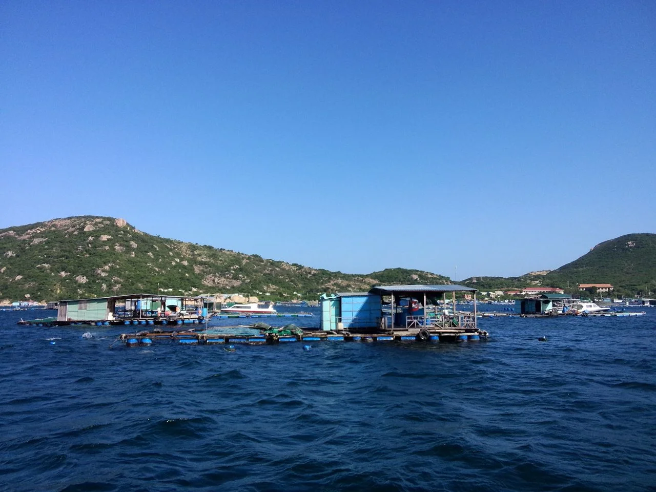 Fish-Farm-Binh-Ba-Island-Cam-Ranh-Khanh-Hoa-Vietnam.jpg