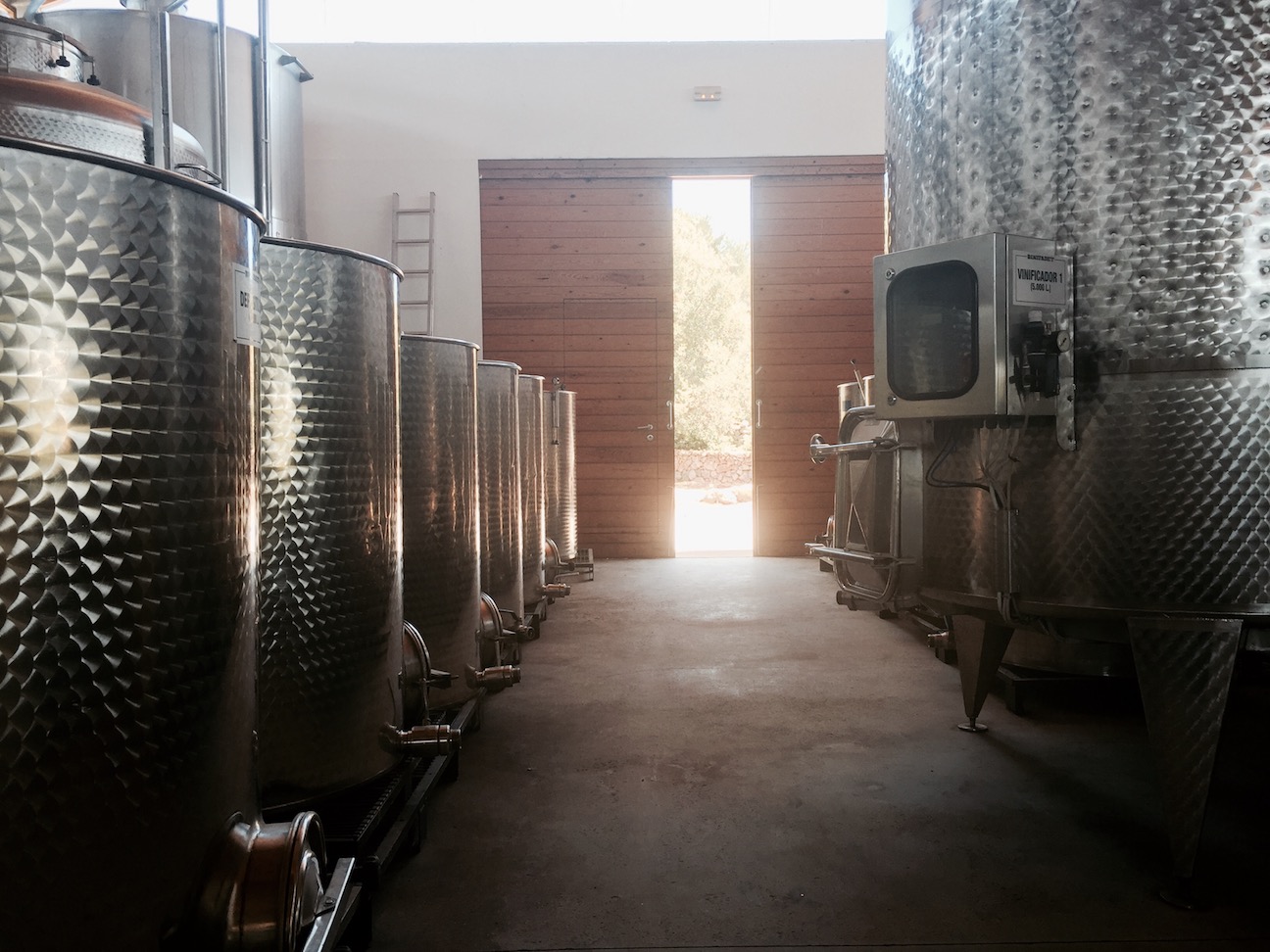 Winetasting at Binifadet