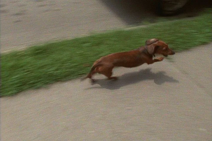 CR 1387-1405 0015.jpg