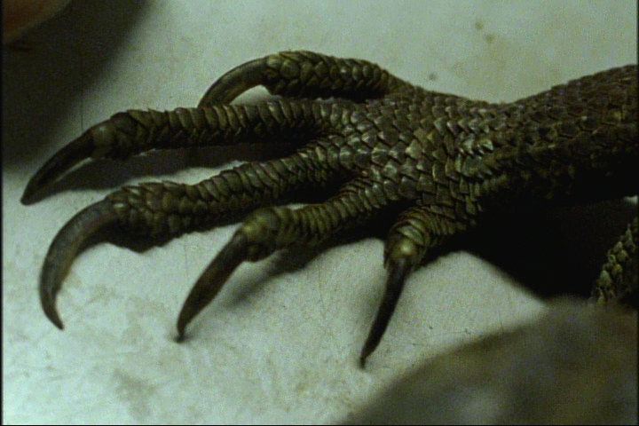 CR 1387-1405 0163.jpg