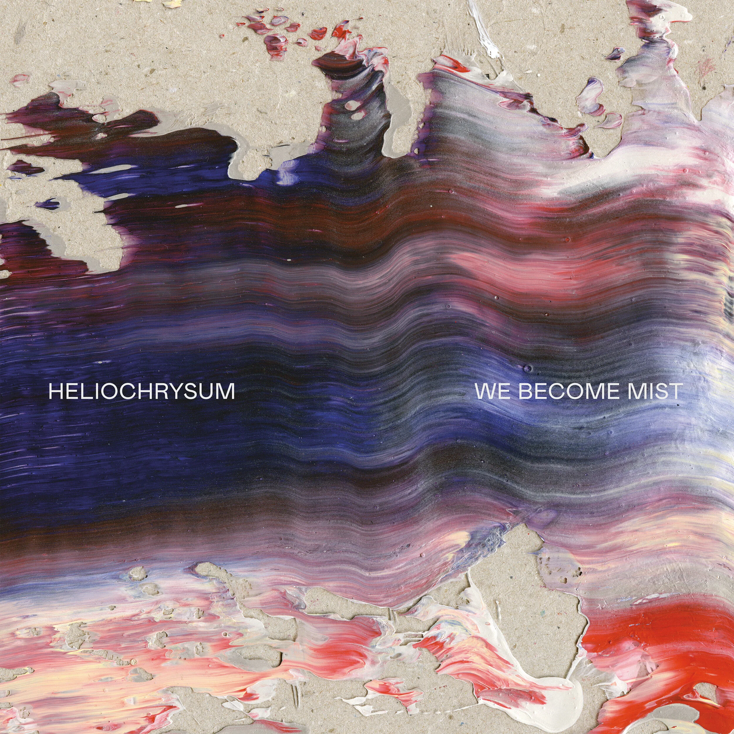 HELIOCHRYSUM_WEBECOMEMIST_3000.jpg
