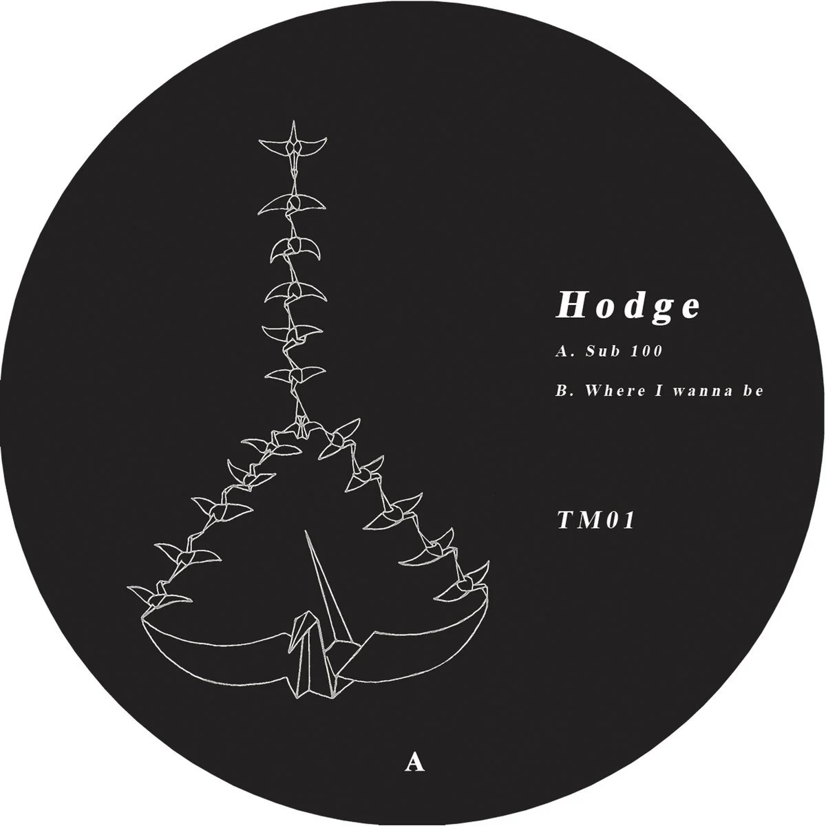 Hodgea2080060162_10.jpeg