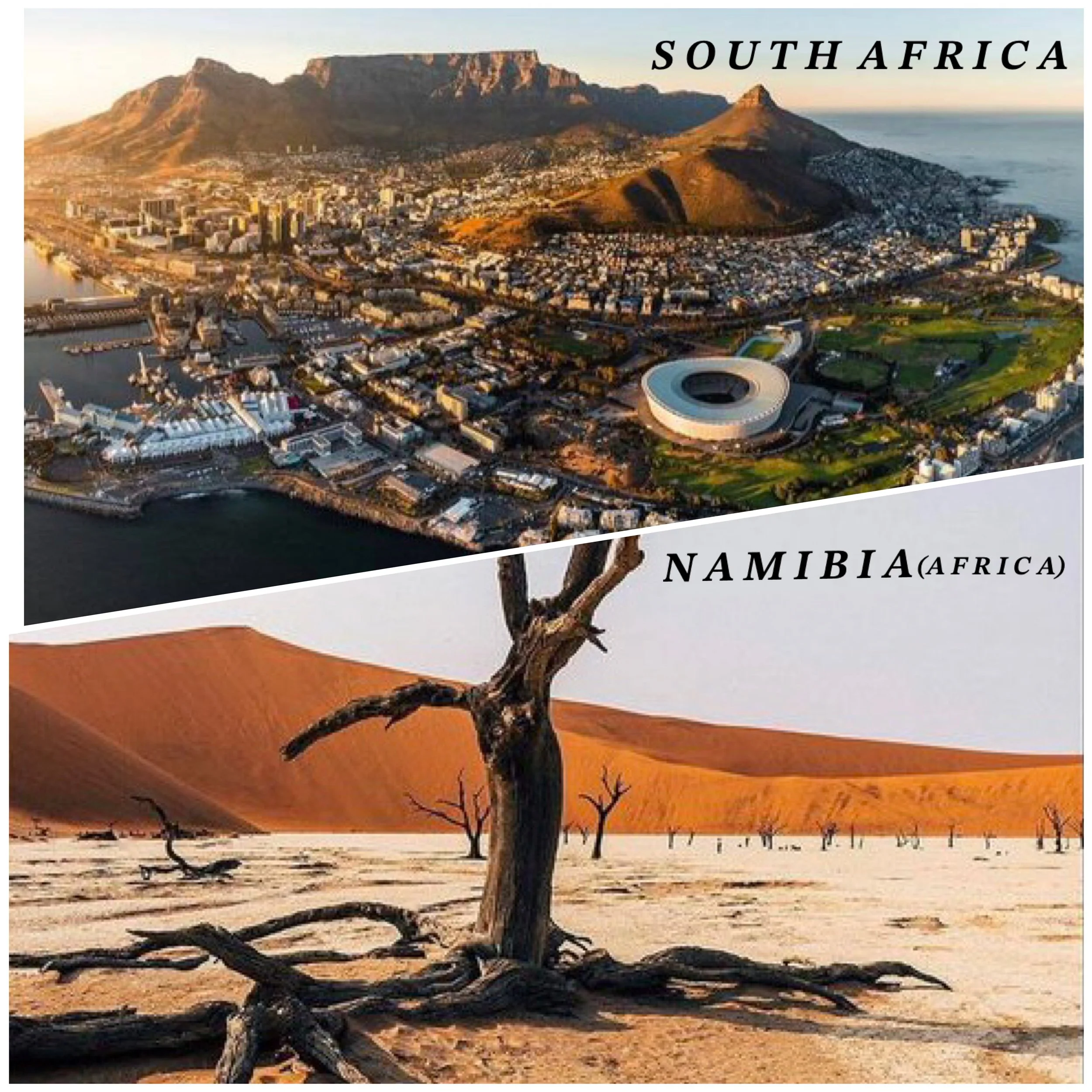 "The Southern 'African" Motherland International Art Business Trip!" - 2024