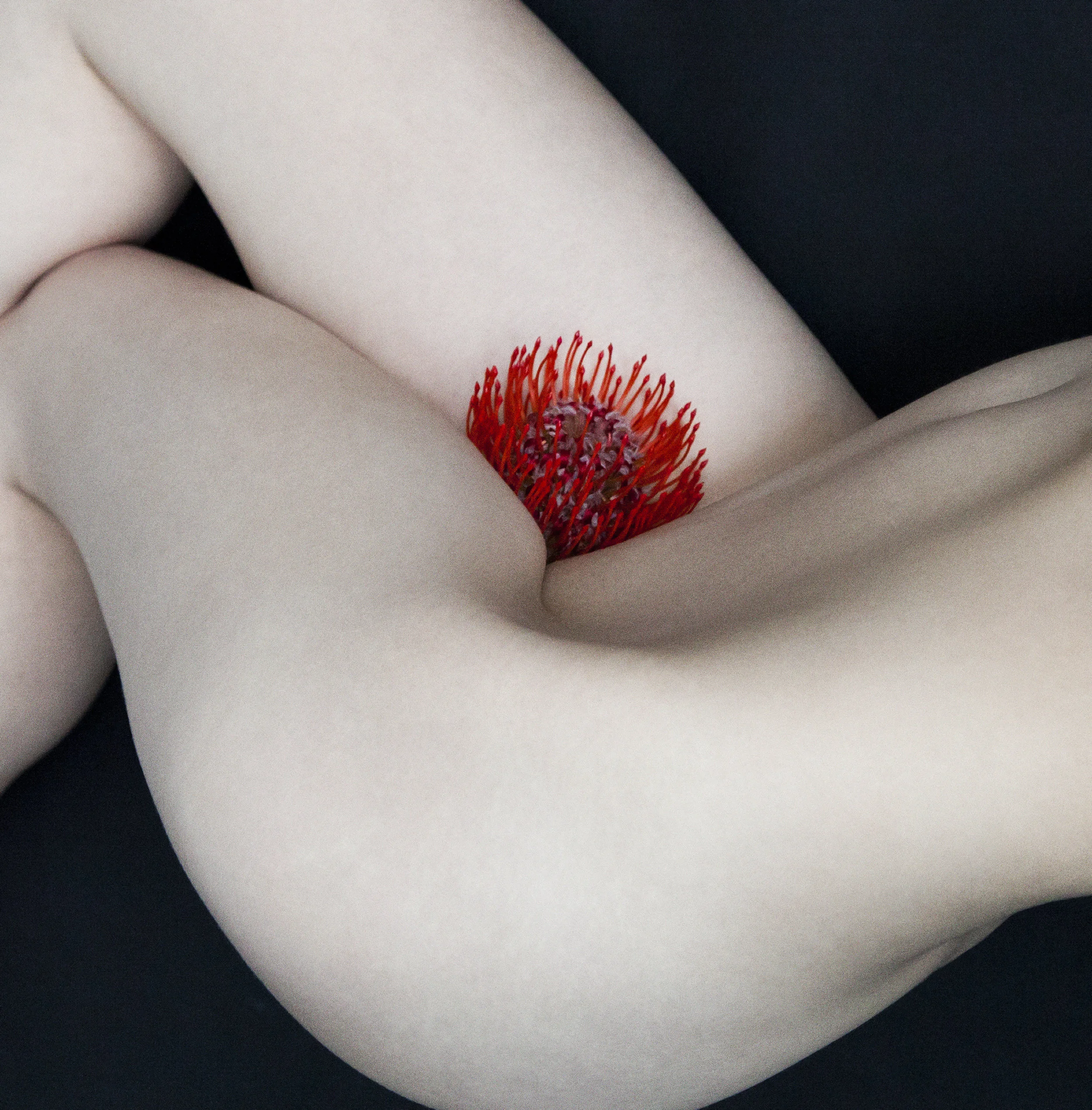 bodyvase_040.jpg
