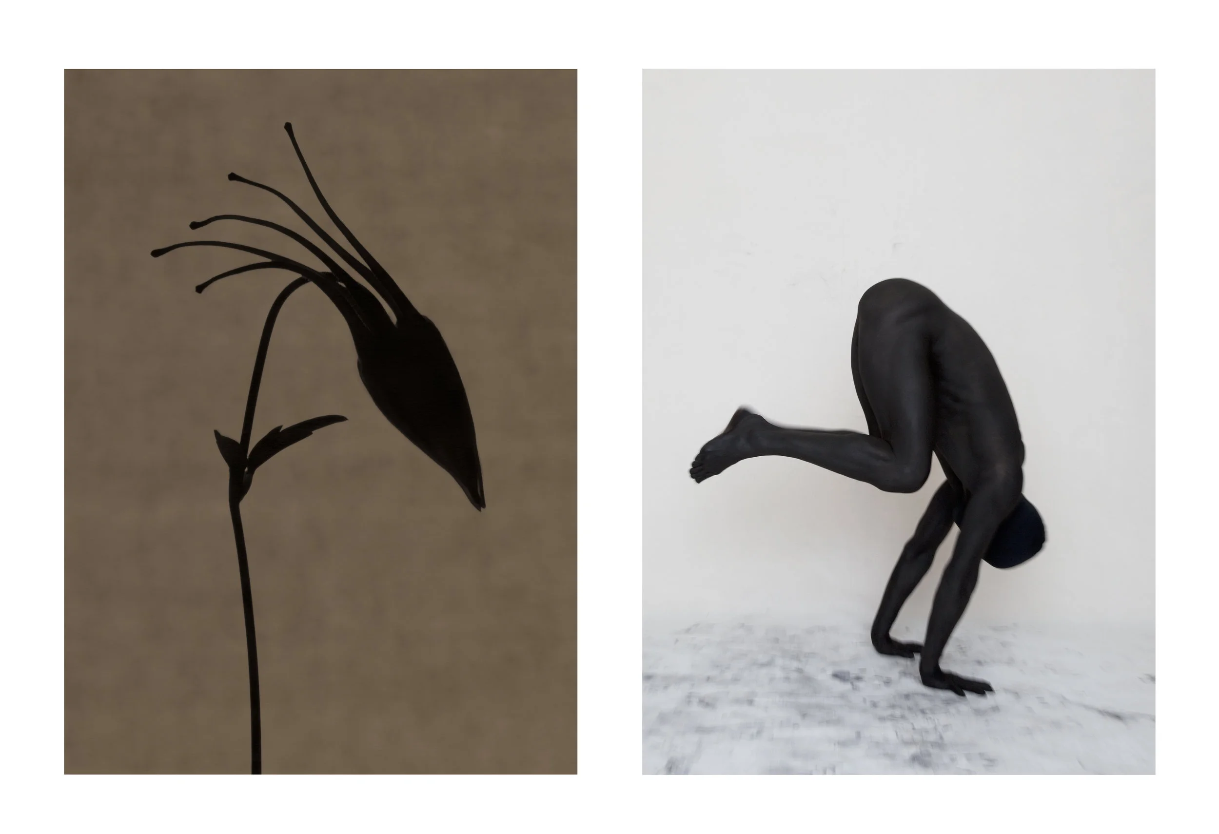 diptych_7.jpg