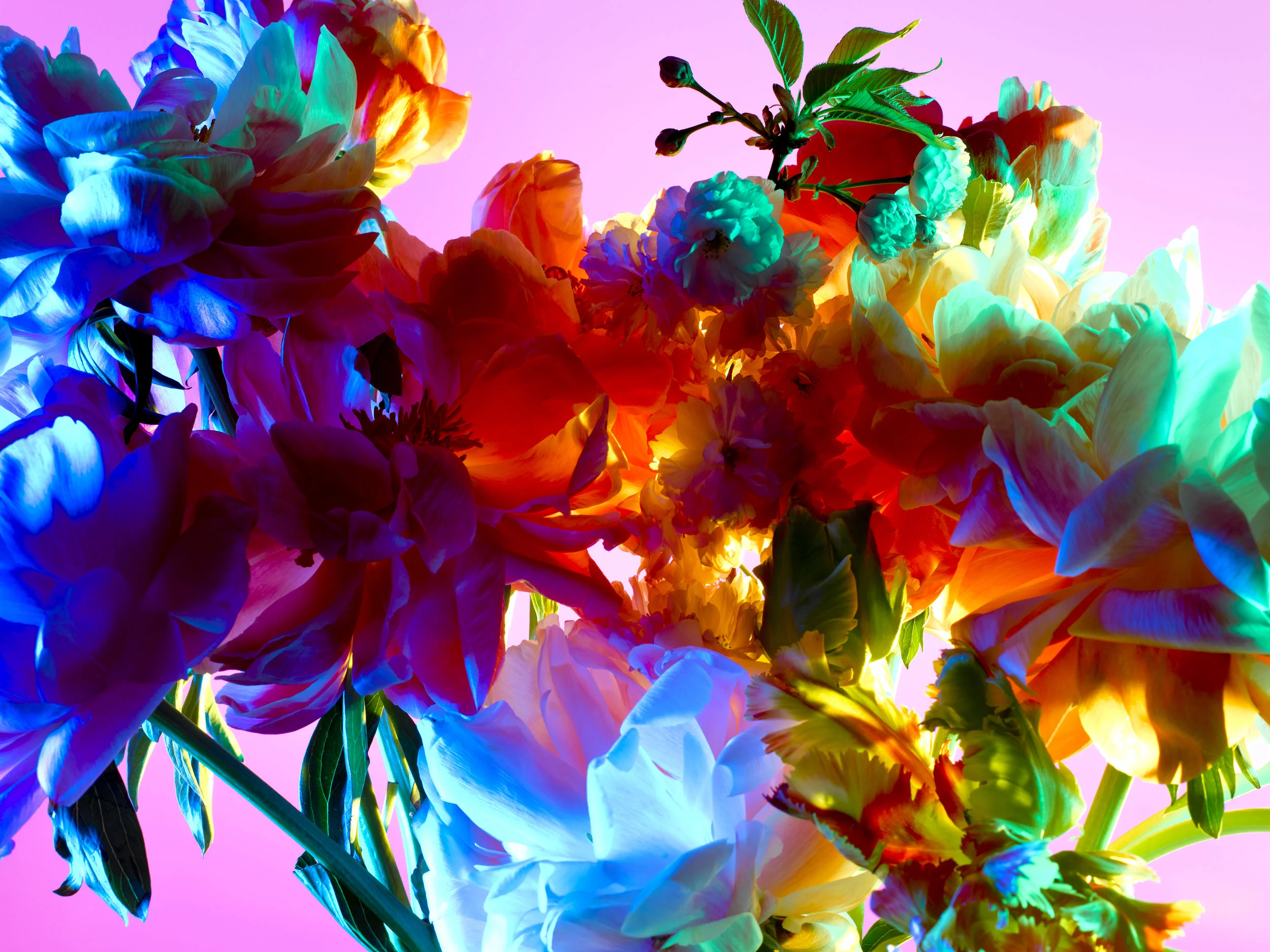 hothouse_056.jpg