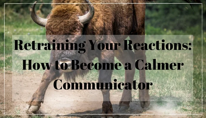 calmcommunicator.jpg