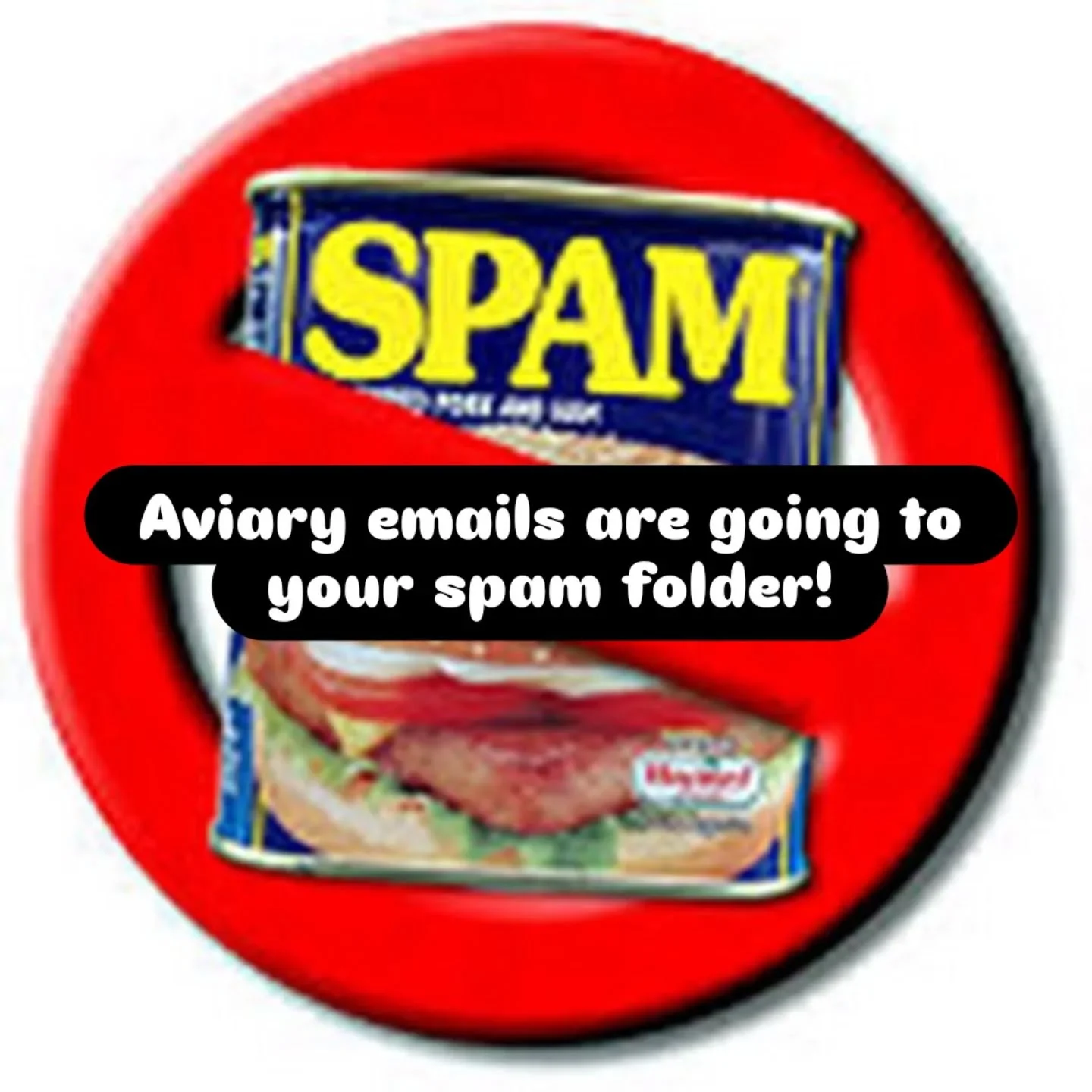 Emails from the Aviary are going directly to spam folders! If you are waiting for a response or a confirmation, check there! Please add us to your contact list to prevent it in the future.