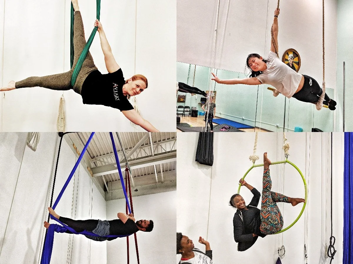 Intro to Aerial Workshop