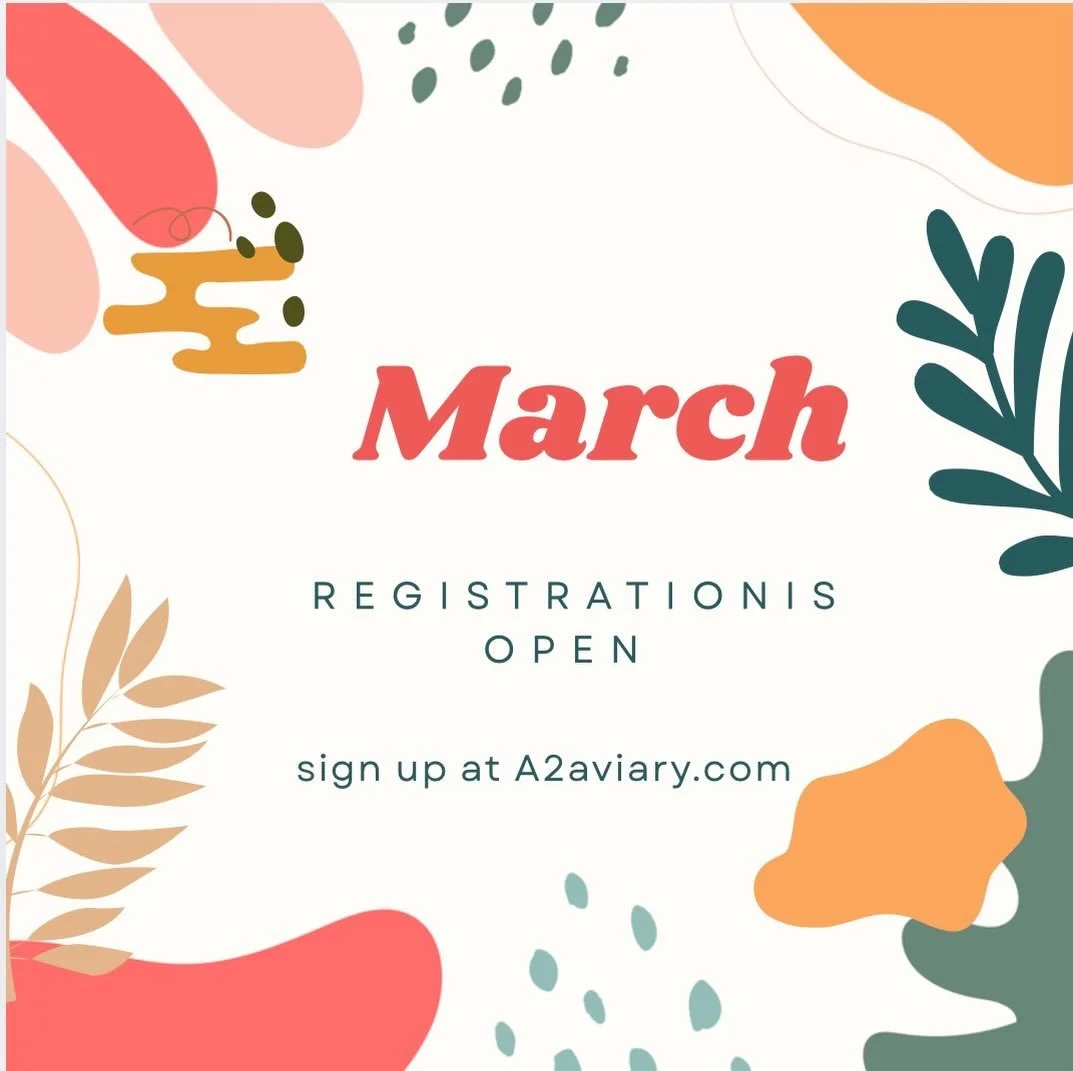 March 4 week series is live on the website, check back for single class spots of classes don&rsquo;t sell out! #a2 #a2fun #a2aviary #circusSchool