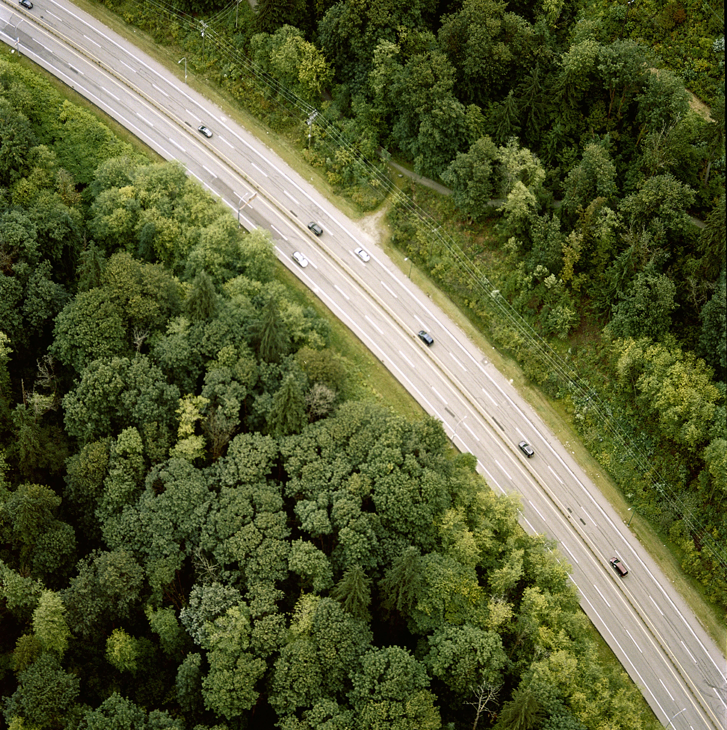  Man and Nature by Jock McDonald 